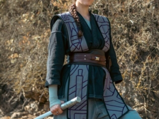 Laurie D Carriere – Jedi gris